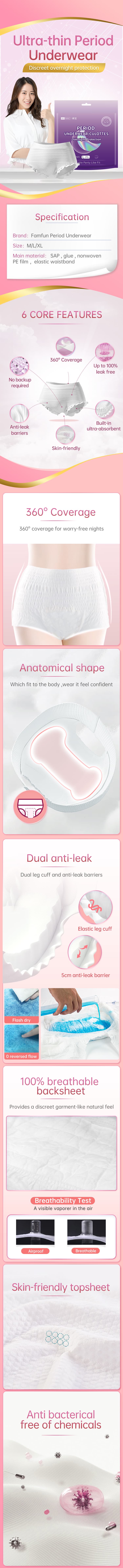 Disposable Period Underwear